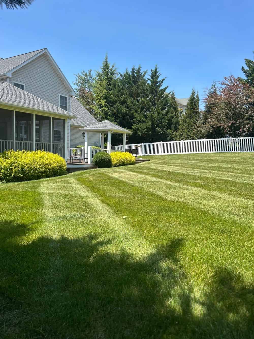 Lawn Maintenance image