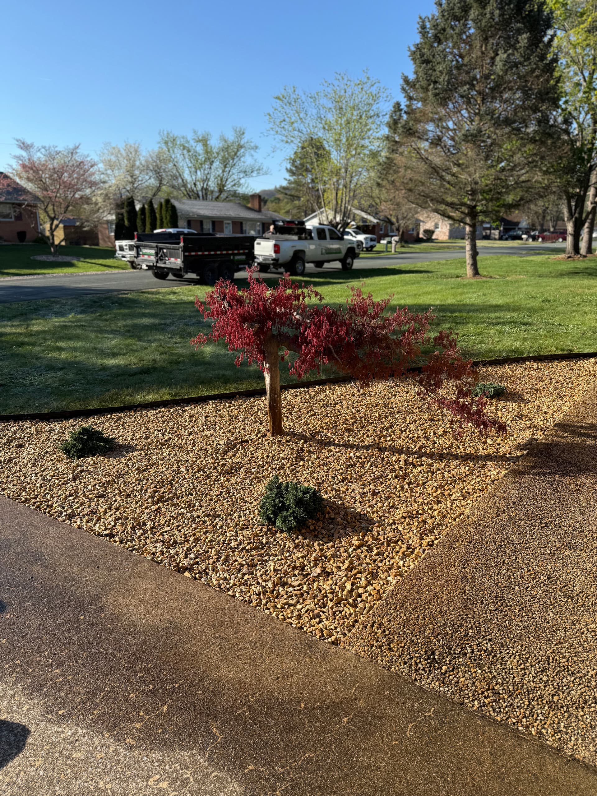 Gallery photos for Landscape Bed Refresh with New Plants and 57 Stone: Image #2