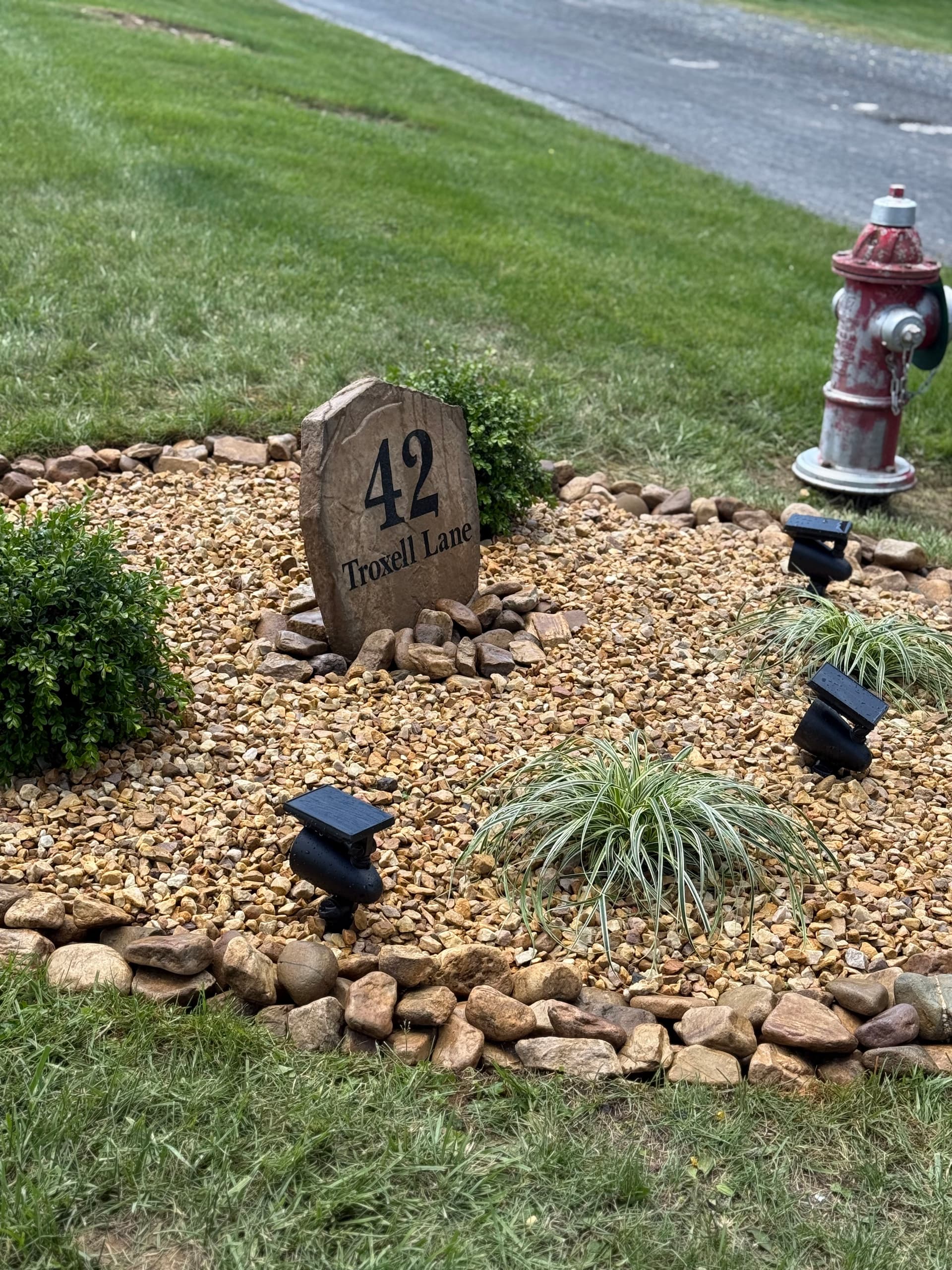 Gallery photos for Low-Maintenance Front Entrance Landscape That Actually Looks Good: Image #3