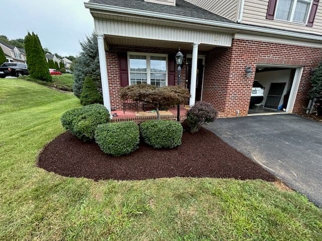 Revitalize Your Yard with Lunsford Outdoor Innovations image