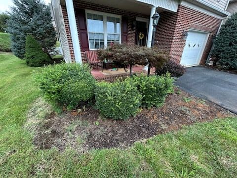 Gallery photos for Revitalize Your Yard with Lunsford Outdoor Innovations: Image #1
