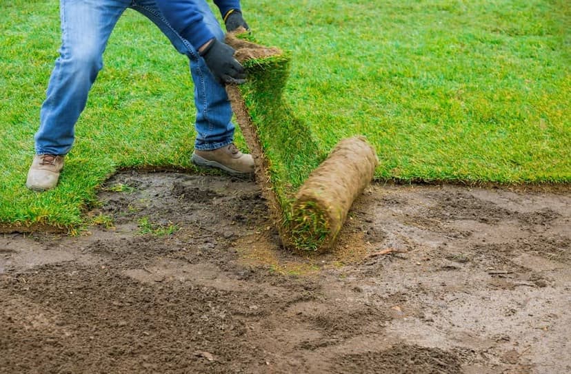 Award-Winning Landscape Design's image