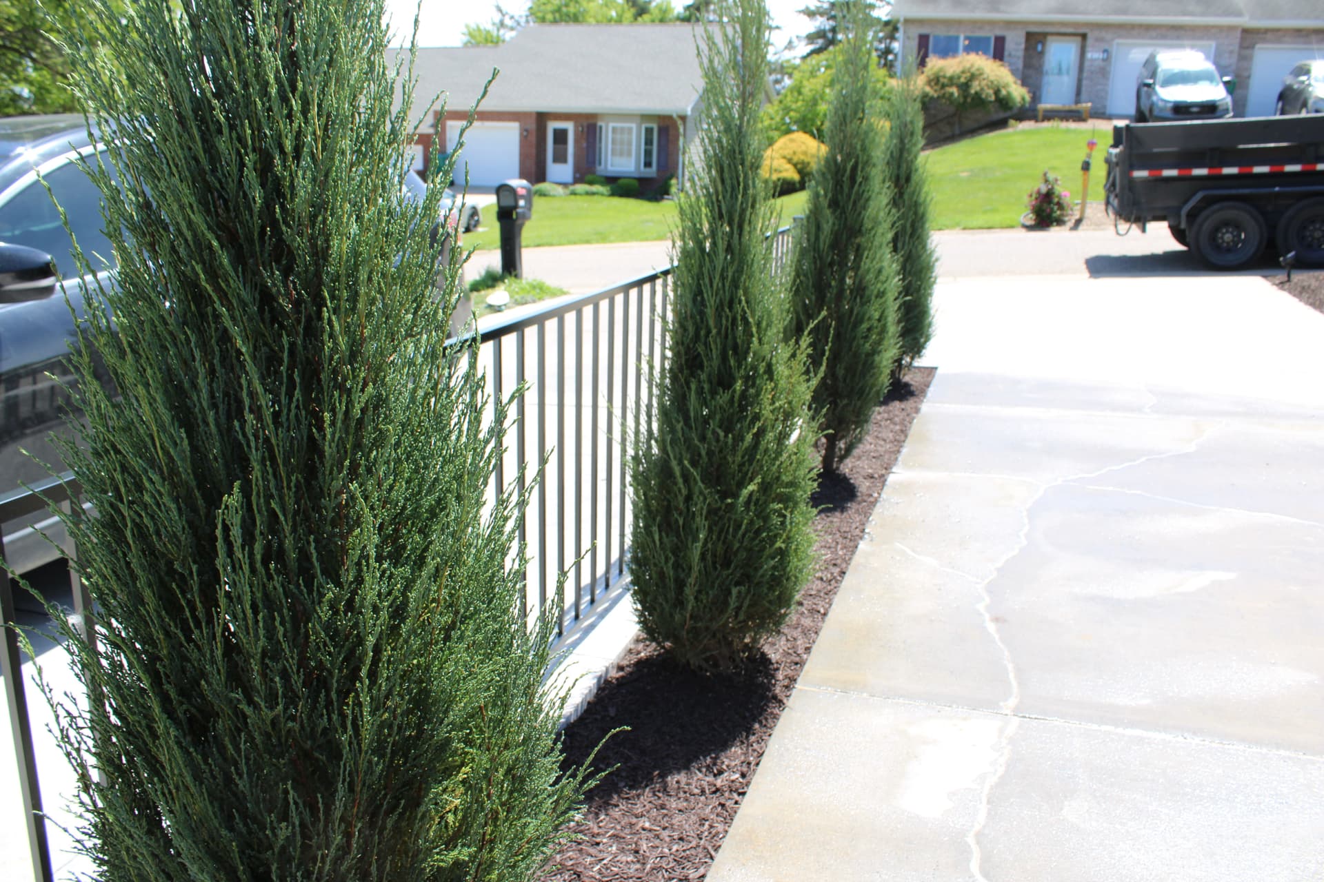 Gallery photos for Cambridge XL Stepping Stones and Juniper Planting Bed Upgrade: Image #3
